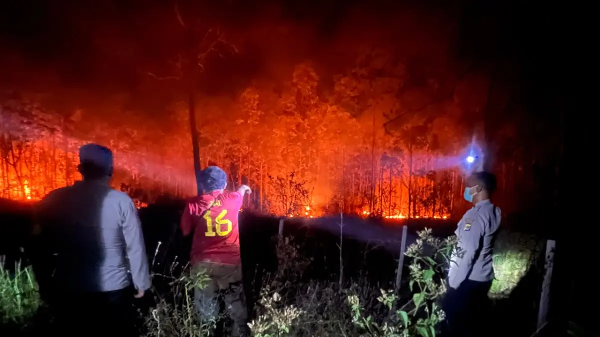 Karhutla di Papua Meluas, Kabut Asap Ganggu Aktivitas Warga hingga Penerbangan